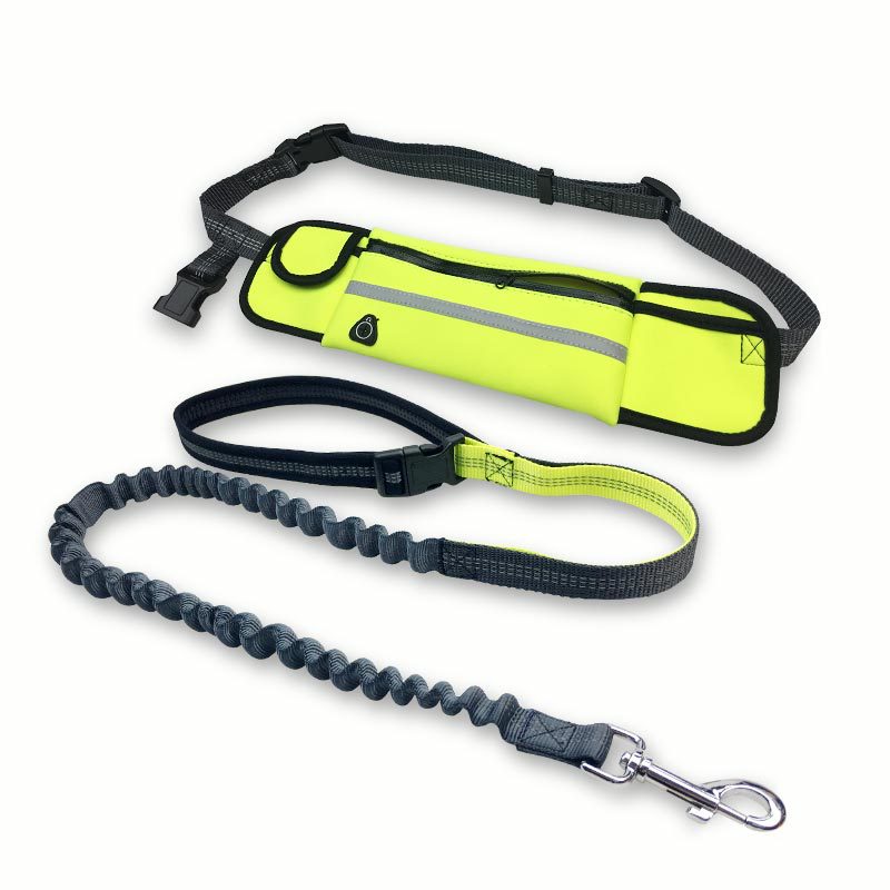 Laisse mains libres multiposition — laisse pour chien (3) | Rundavo