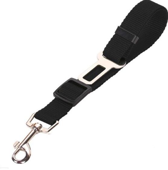 Ceinture de sécurité pour la voiture