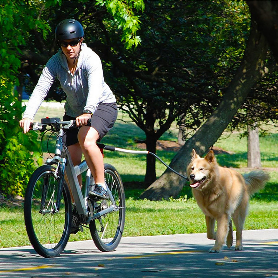 Laisse vélo mains libres — laisse pour chien | Rundavo