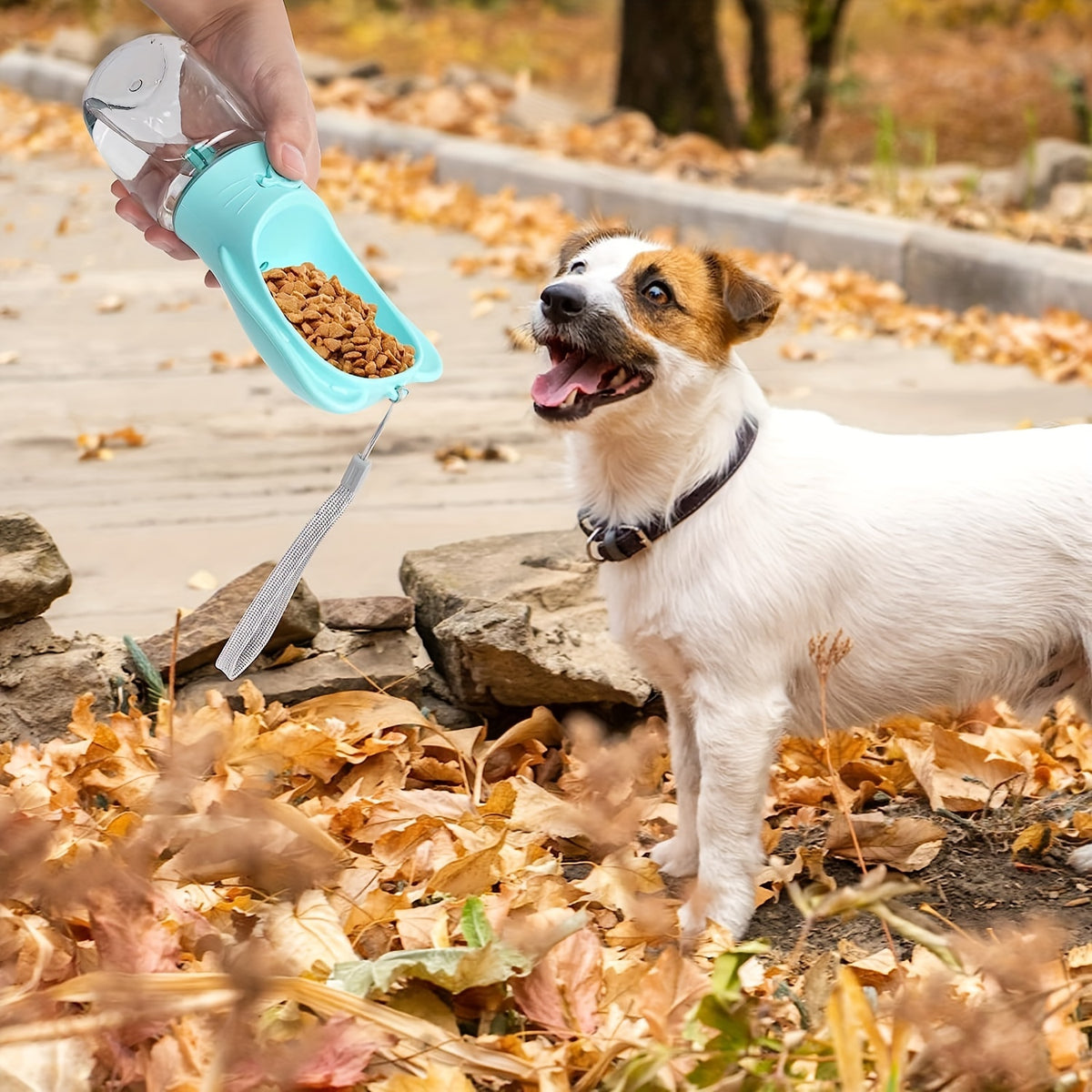 Kit Première Rando — kit pour chien | Rundavo