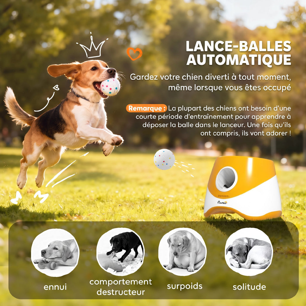 Lanceur de balles automatique pour chien, 3 balles – jouet pour chien | Rundavo