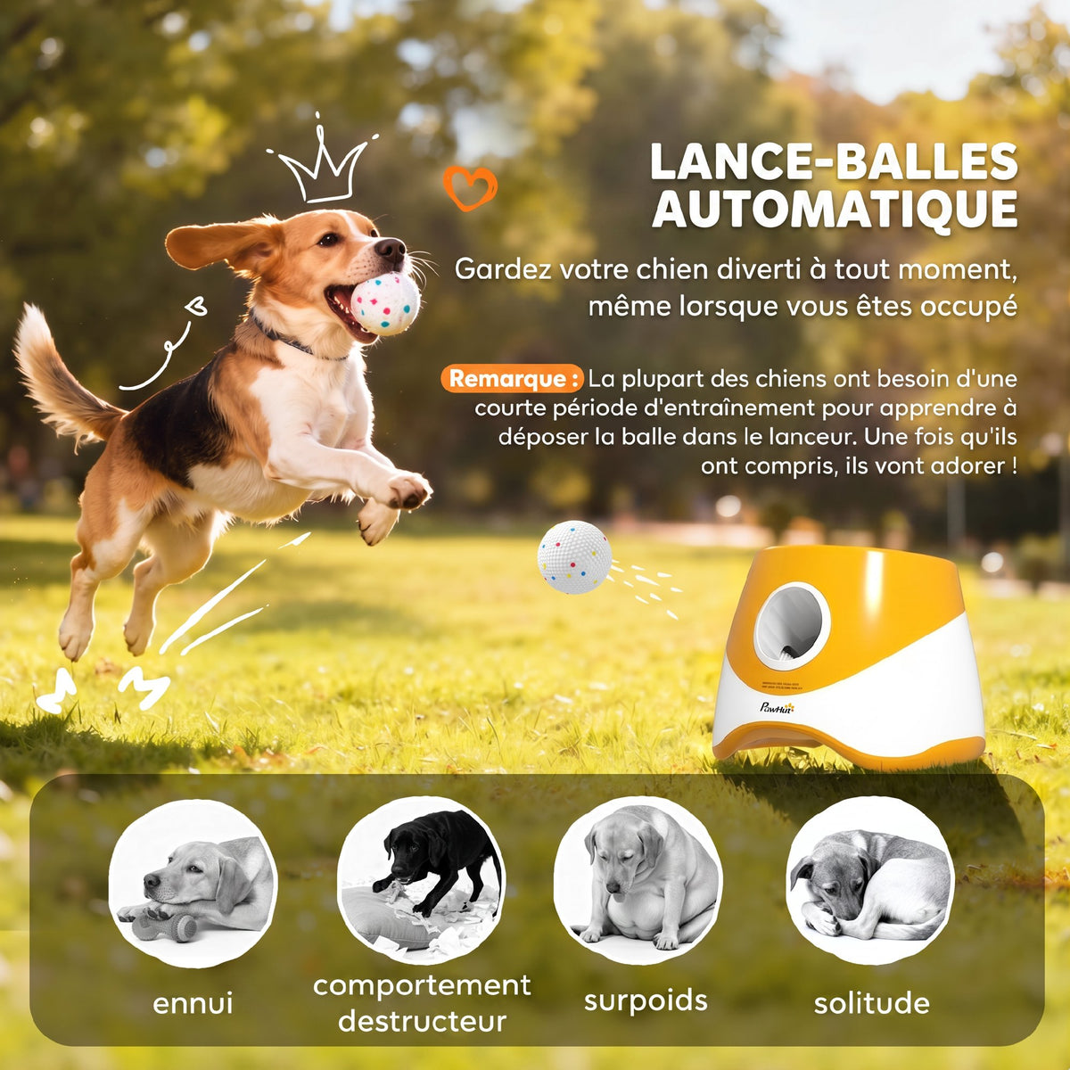 Lanceur de balles automatique pour chien, 3 balles – jouet pour chien | Rundavo