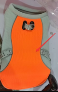 Gilet rafraîchissant chien