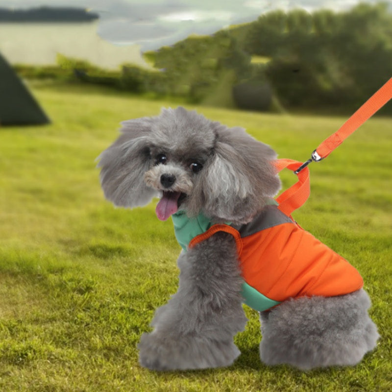 Gilet doudoune chien sans manches — vêtement pour chien | Rundavo