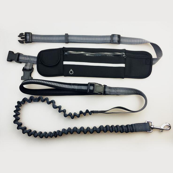 Laisse mains libres multiposition — laisse pour chien | Rundavo