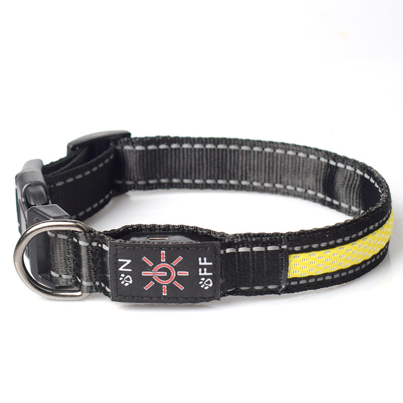 Collier LED rechargeable USB — collier pour chien | Rundavo