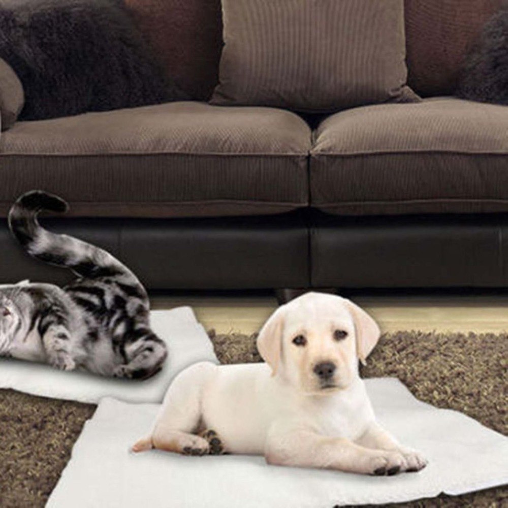 Tapis auto-chauffant chat et petit chien — tapis pour chien et chat | Rundavo