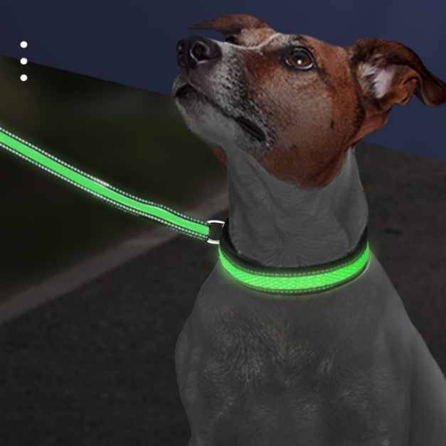 Collier LED rechargeable USB — collier réglable pour chien | Rundavo
