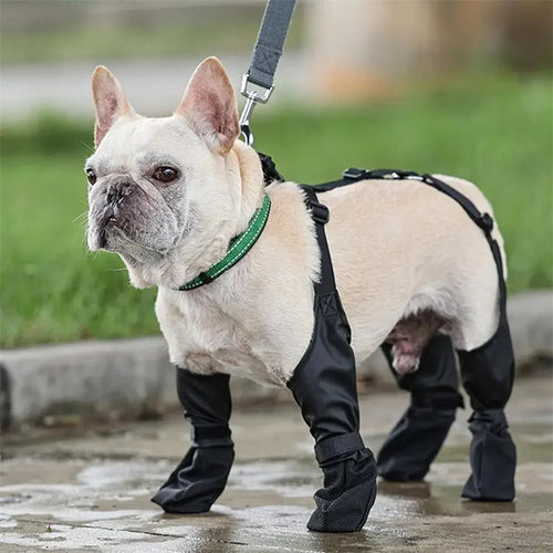 Bottines de protection chien – lot de 4 — protection des pattes pour chien | Rundavo