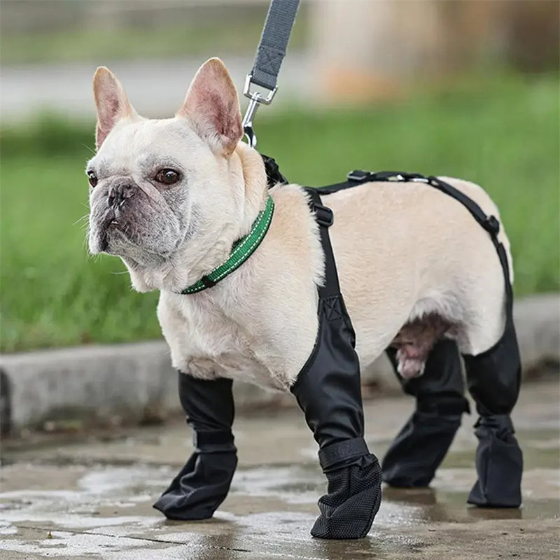Bottines de protection chien – lot de 4 — protection des pattes pour chien | Rundavo