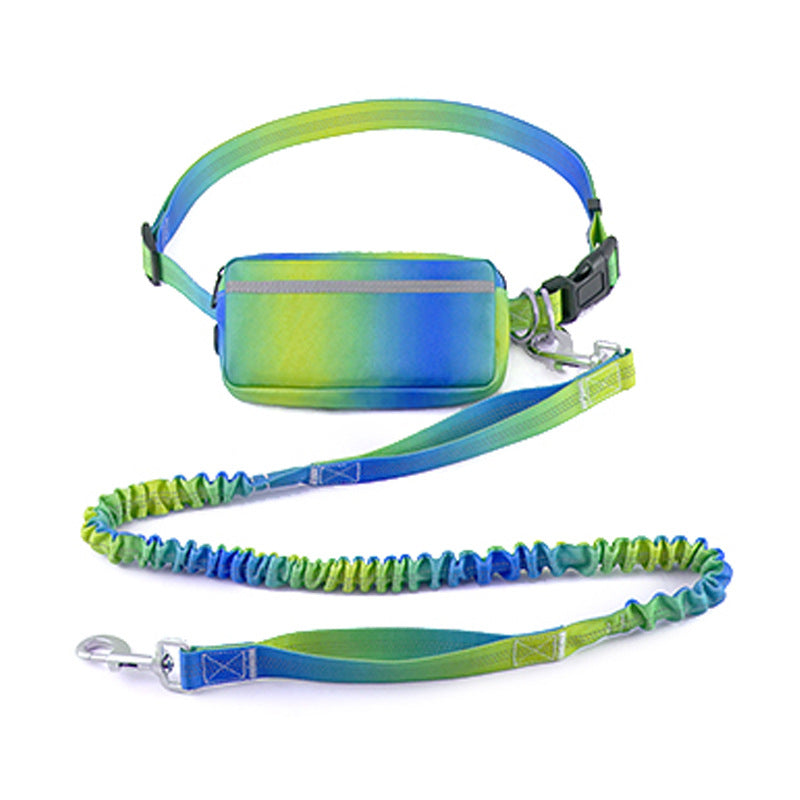 Ceinture canicross mains libres — laisse de promenade (4) | Rundavo