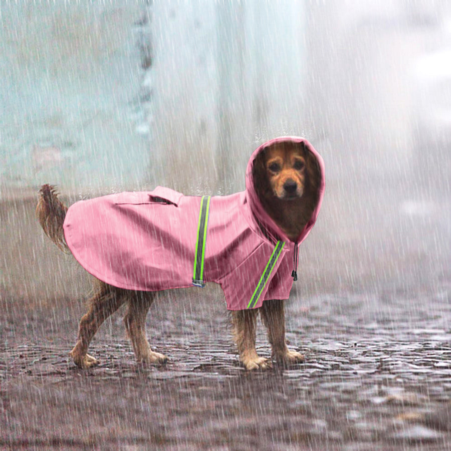 Manteau de pluie chien réfléchissant — vêtement pour chien | Rundavo