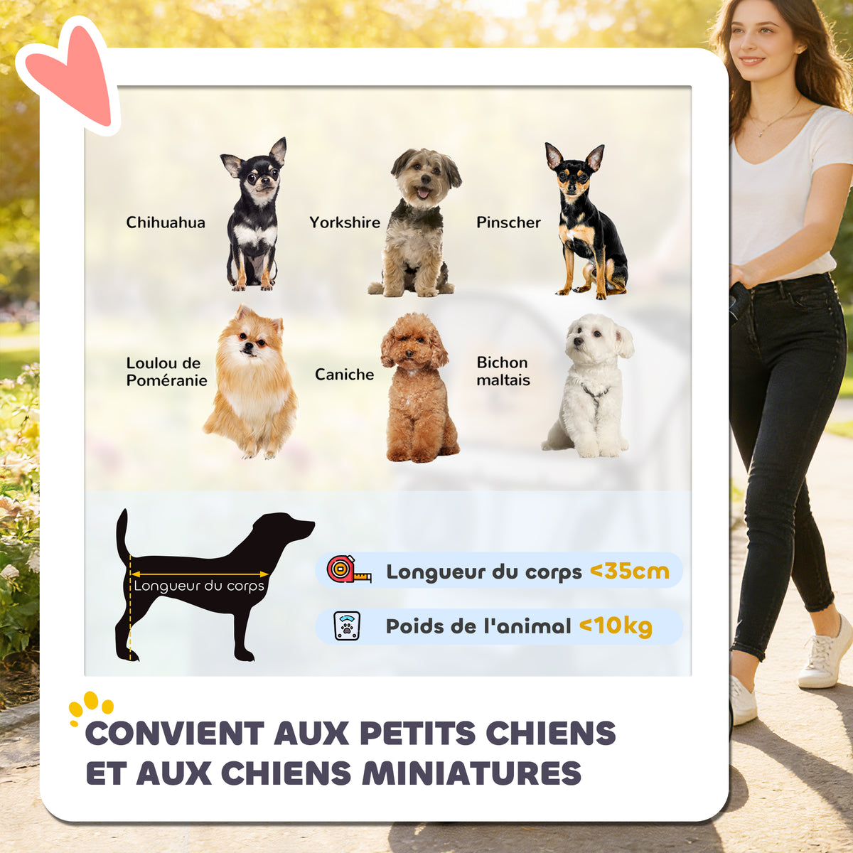 Poussette pliable pour chien, 4 roues et auvent – poussette pour chien | Rundavo