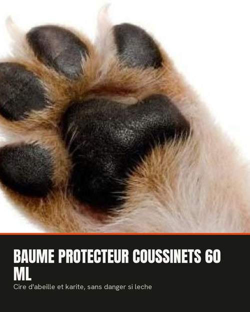 Baume protecteur coussinets 60 ml — soin des pattes | Rundavo