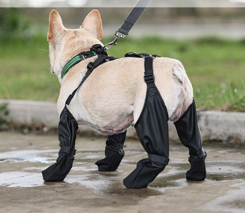 Bottines de protection chien – lot de 4