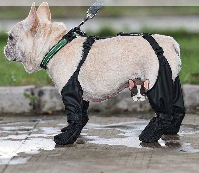 Bottines de protection chien – lot de 4