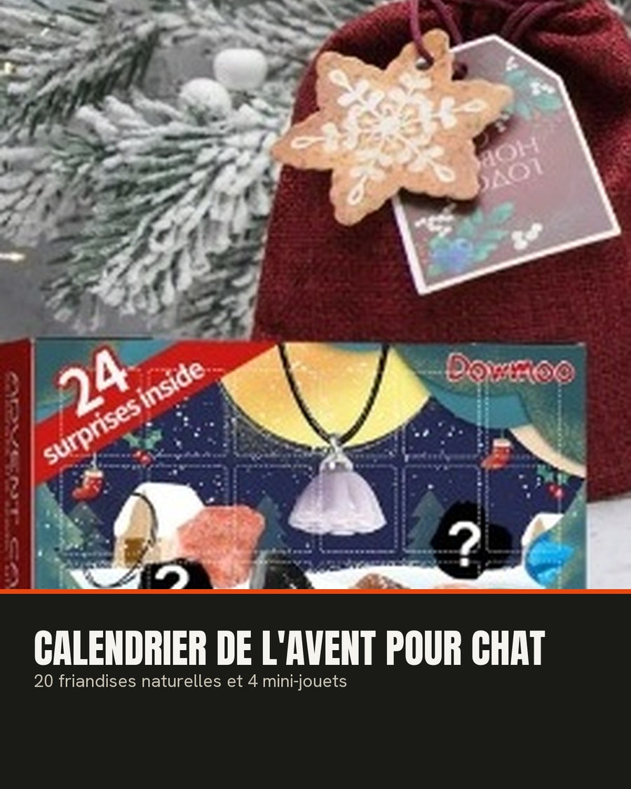 Calendrier de l'Avent — cadeau pour chat | Rundavo