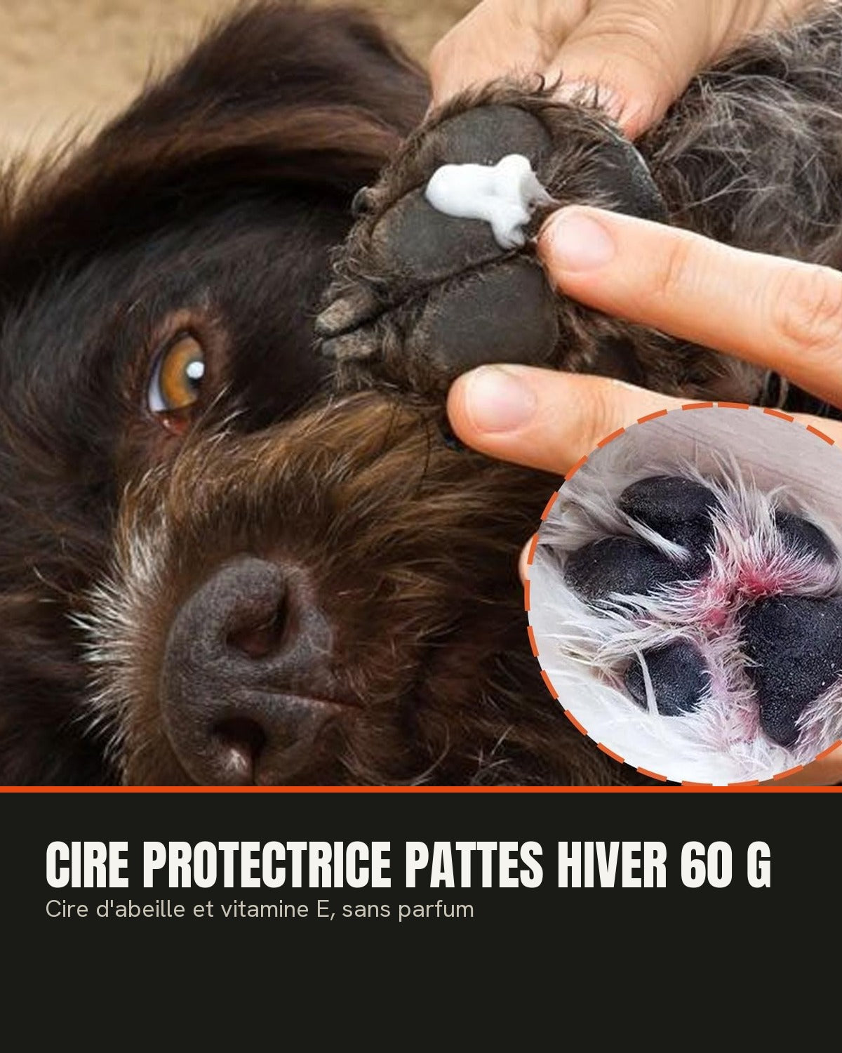 Cire protectrice pattes hiver 60 g — protection des pattes pour chien et chat (3) | Rundavo