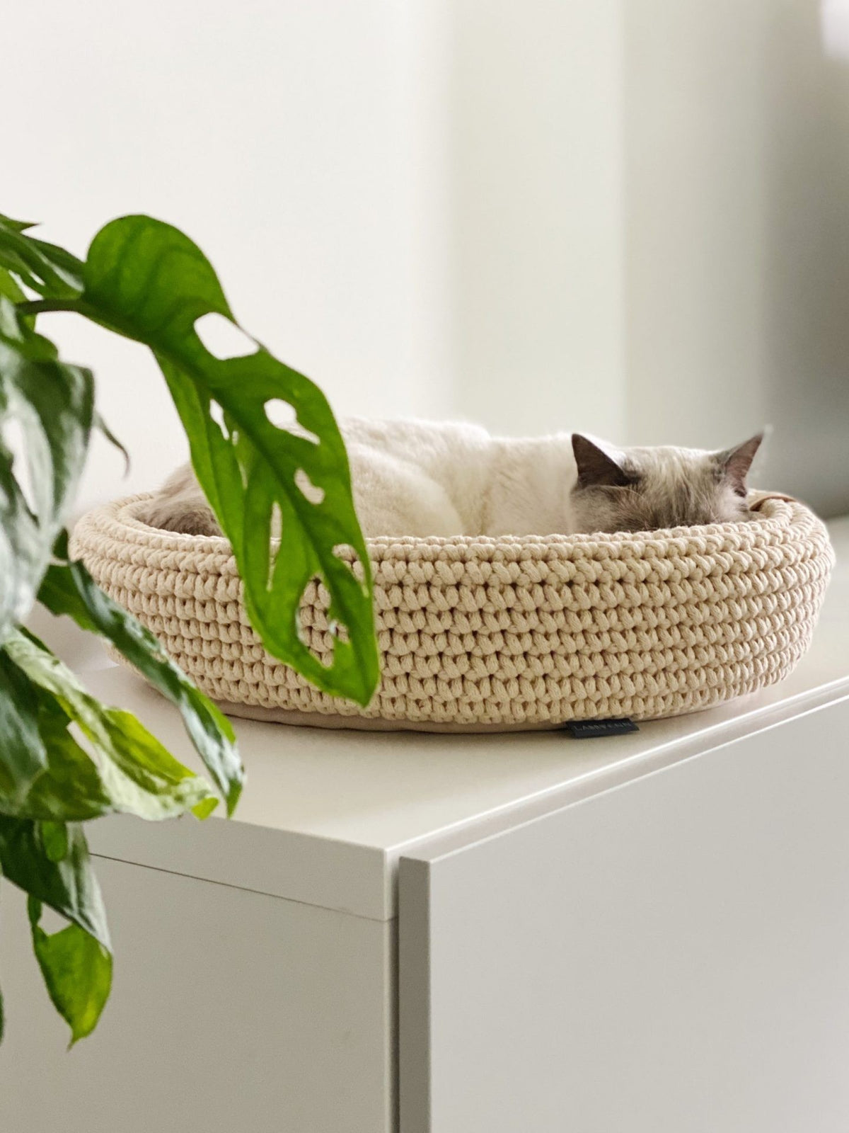 Panier Coco — panier pour chien et chat | Rundavo
