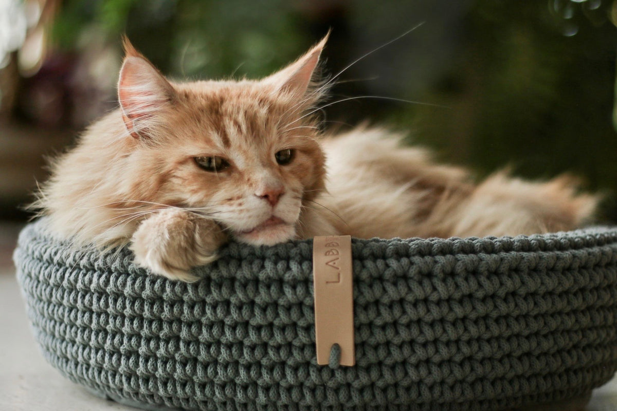 Panier Coco — panier pour chien et chat (6) | Rundavo