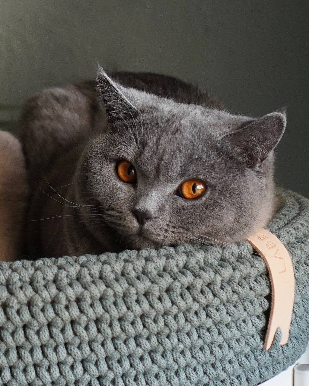 Panier Coco — corbeille pour chien et chat (5) | Rundavo
