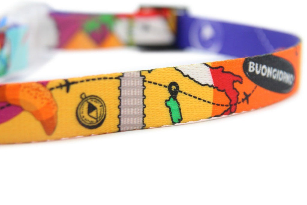 Collier LED — collier réglable pour chien et chat (5) | Rundavo