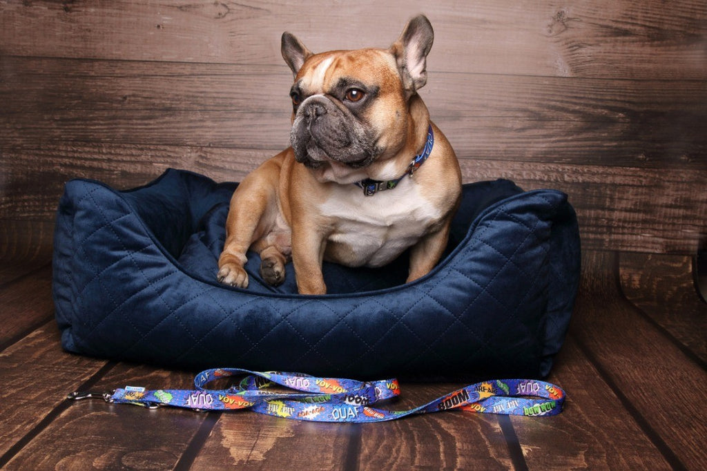 Collier Metal — collier pour chien et chat | Rundavo