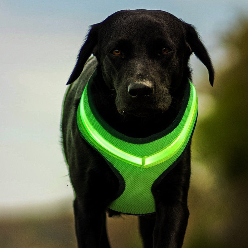 Harnais réfléchissant chien avec LED intégrée — harnais pour chien | Rundavo