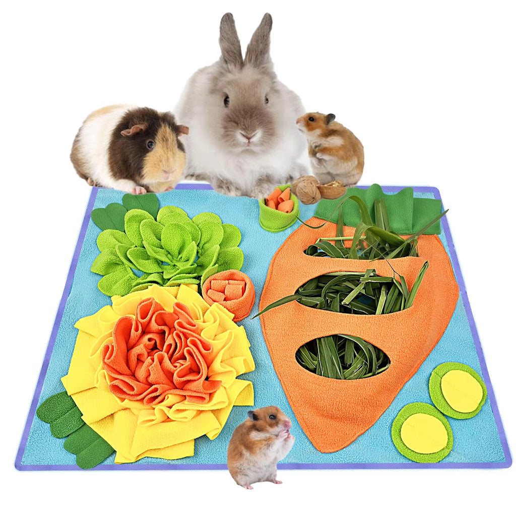 Tapis de fouille d'occupation