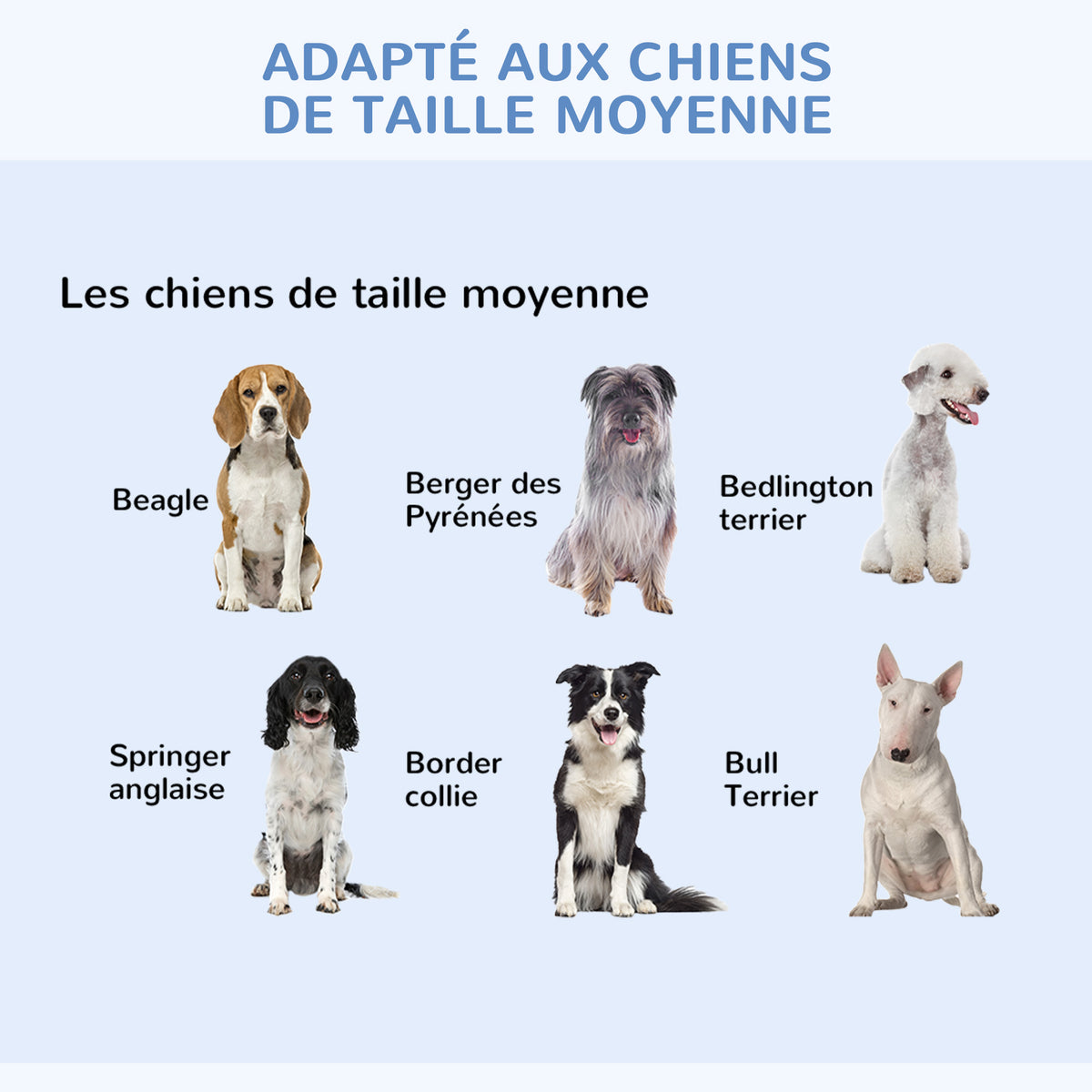 Cage pliante en acier pour chien, 2 portes – cage pour chien | Rundavo