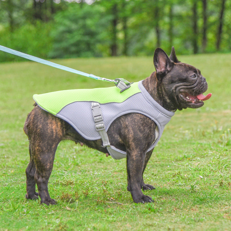 Gilet rafraîchissant chien — vêtement pour chien | Rundavo