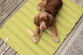 Tapis Fosser chien et chat