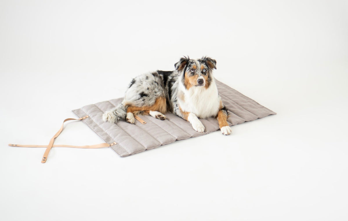 Tapis Fosser chien et chat
