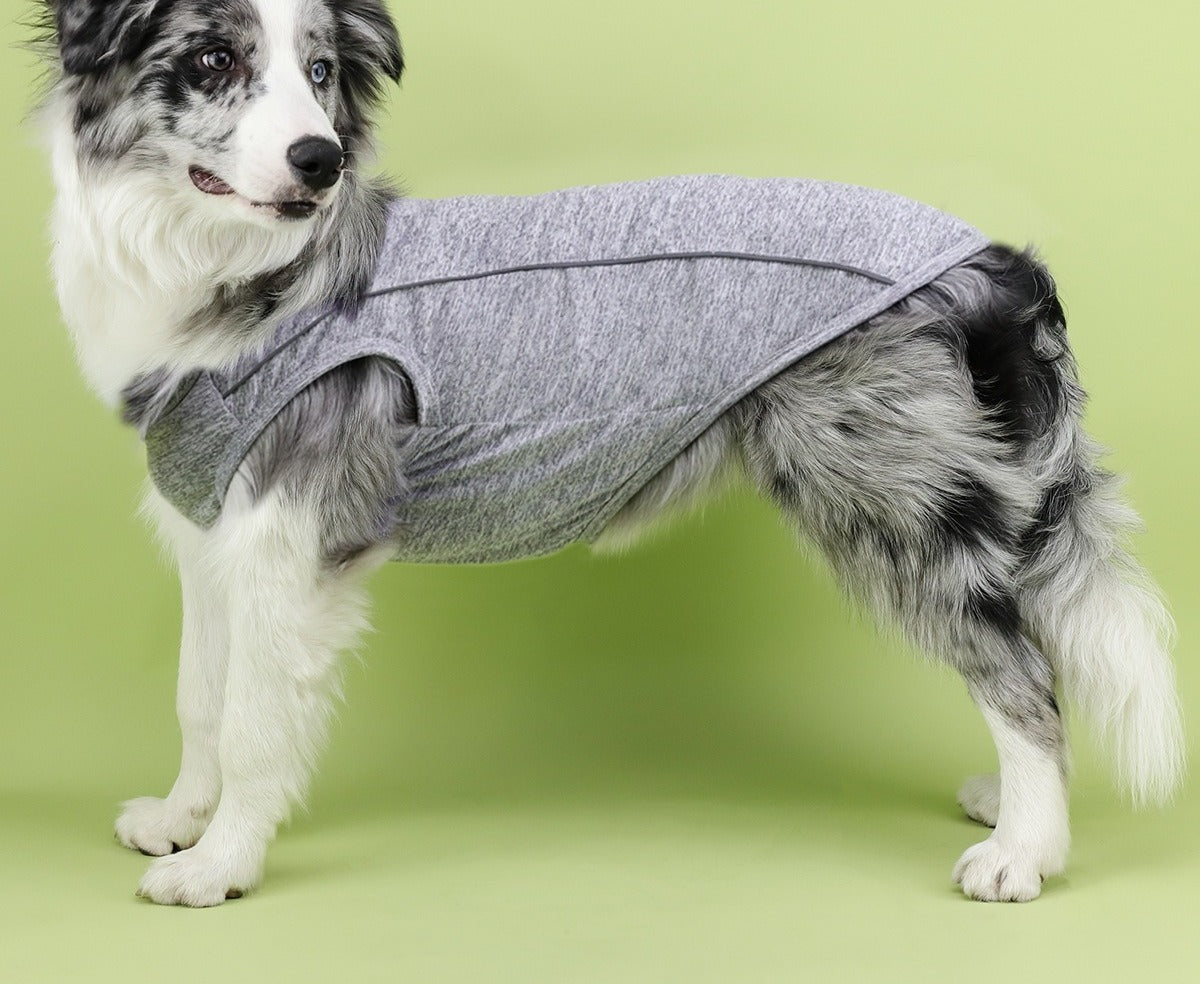Gilet réfléchissant haute visibilité chien — équipement de visibilité (4) | Rundavo