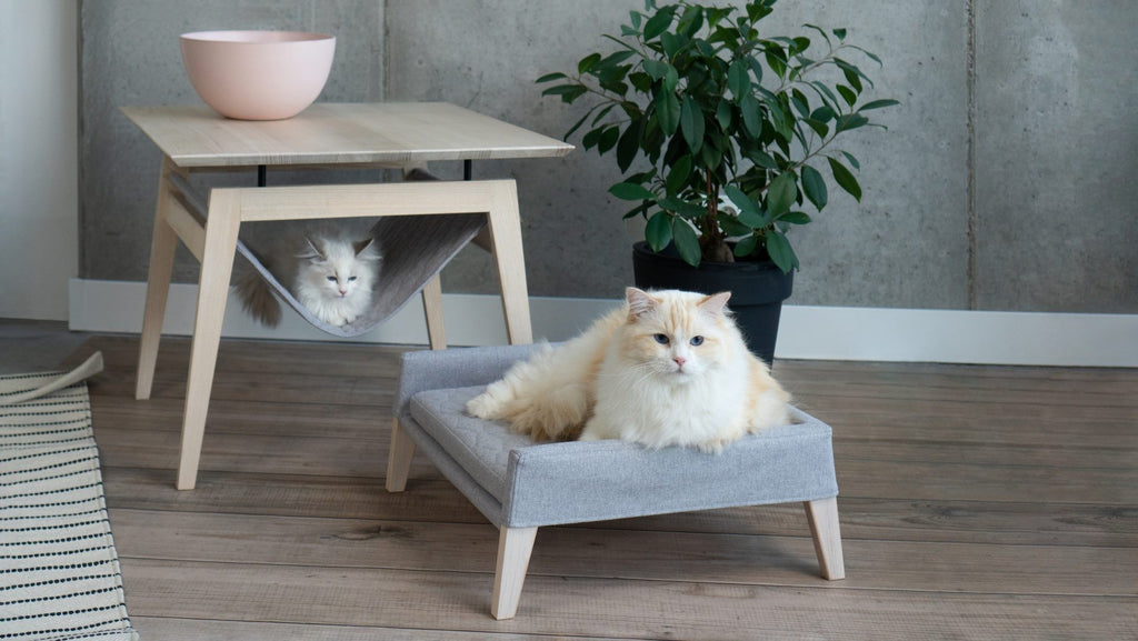Accessoire Kikko chien et chat
