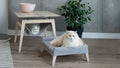 Accessoire Kikko chien et chat