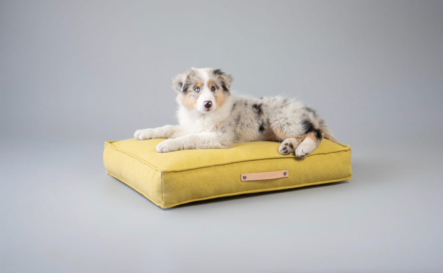 Coussin — matelas pour chien et chat | Rundavo