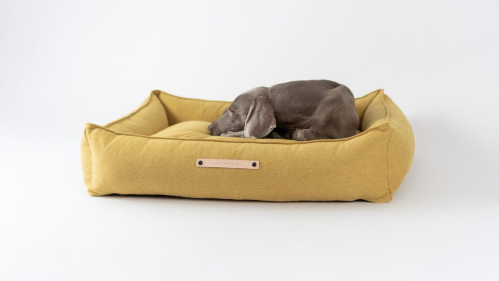 Panier pour chien