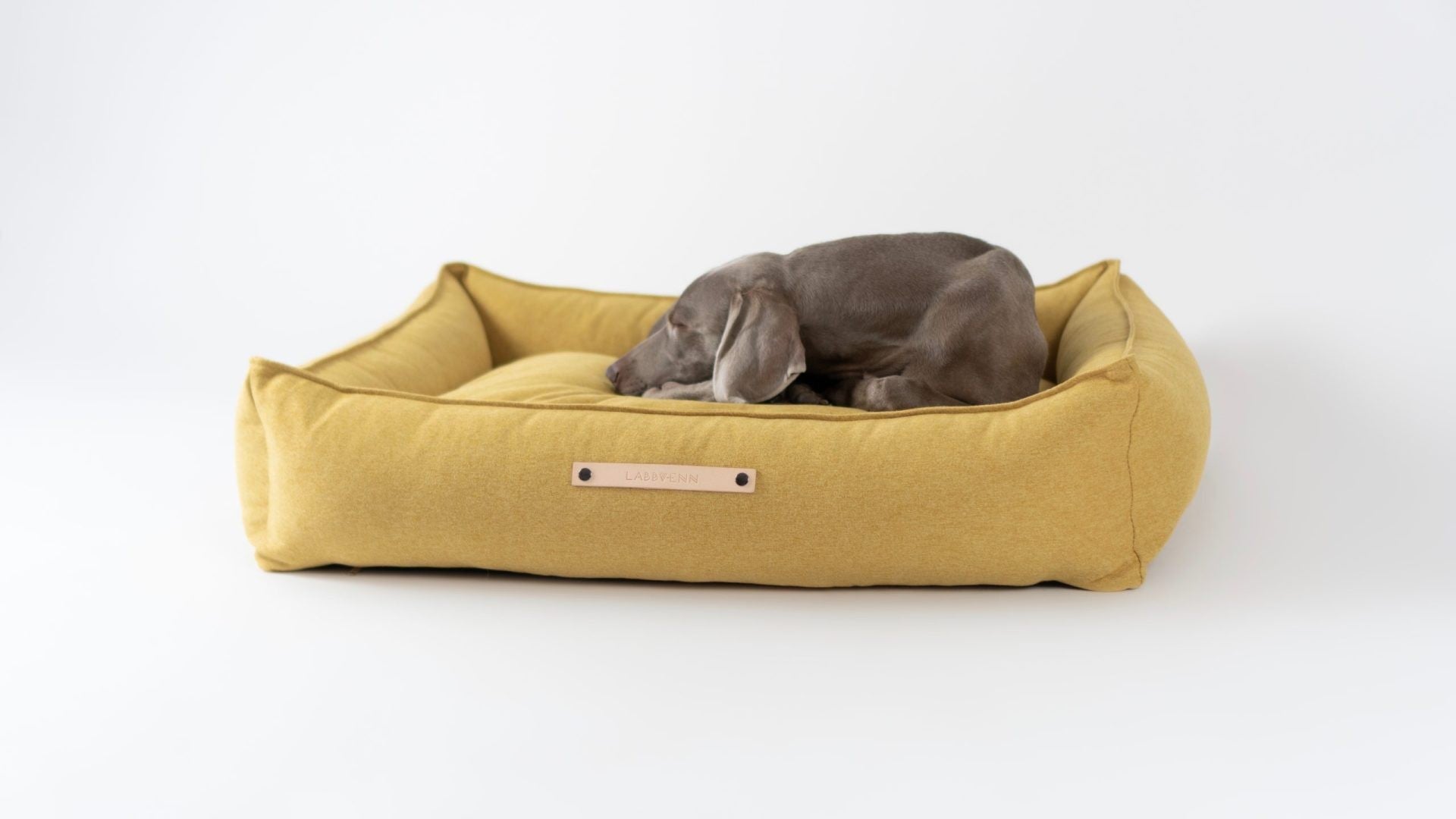 Panier pour chien