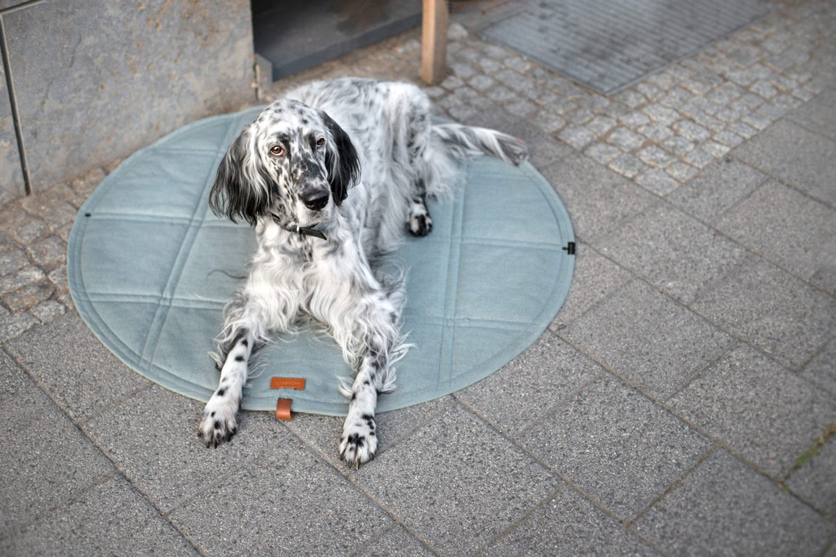 Tapis Okka chien et chat