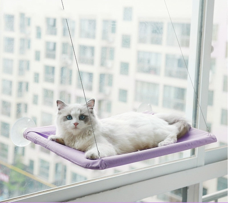 Perchoir de fenêtre pour chat