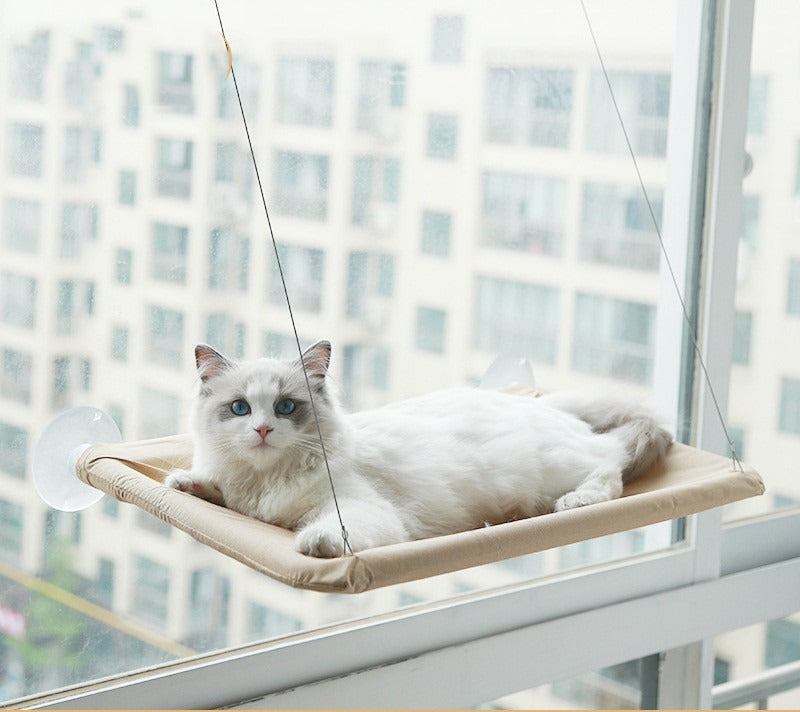 Perchoir de fenêtre pour chat