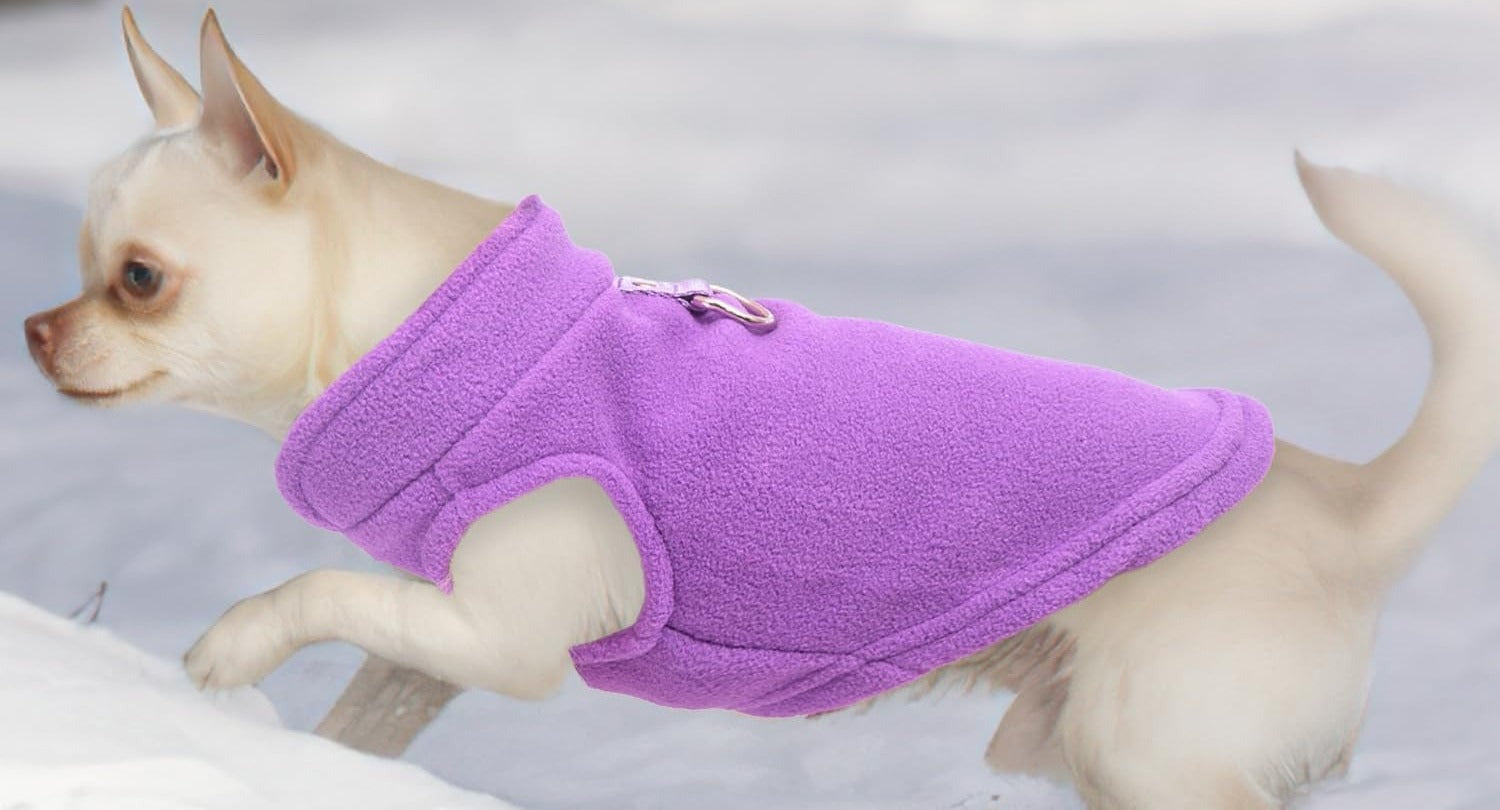 Pull polaire chien