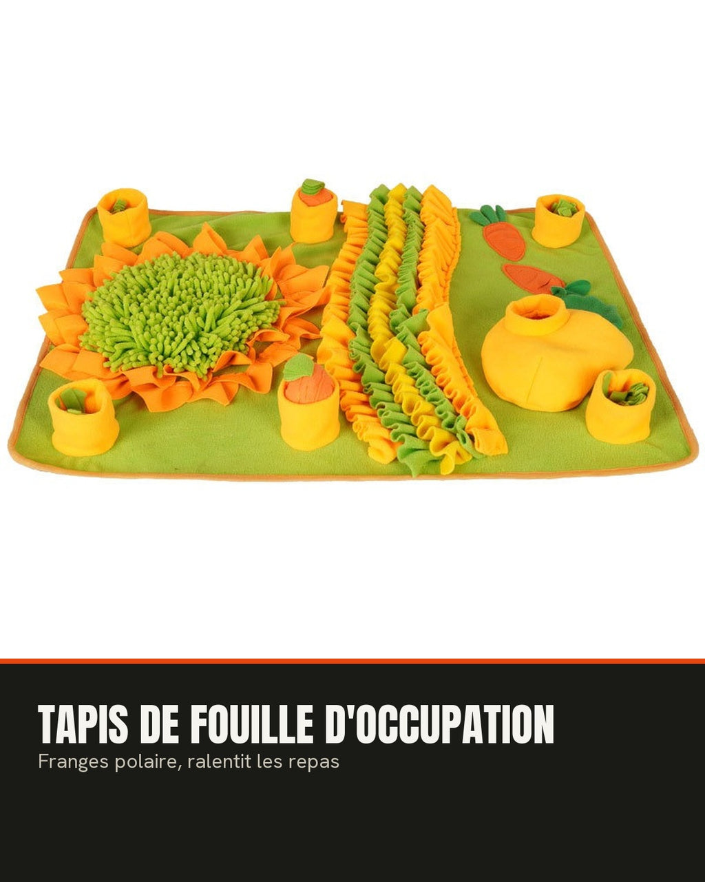 Tapis de fouille d'occupation