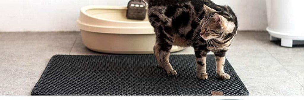 Tapis de litière double couche